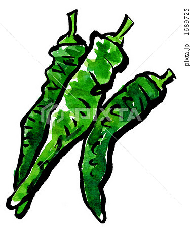万願寺唐辛子のイラスト素材 - PIXTA