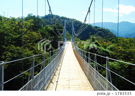 堂ヶ島の吊り橋の写真素材