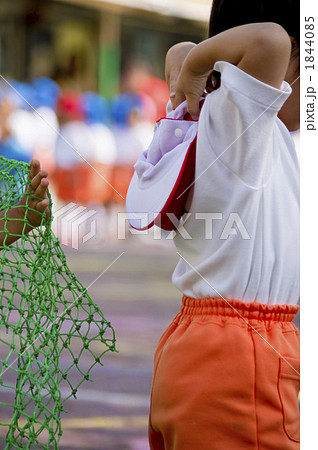 網 運動会 障害物競走 ネットの写真素材