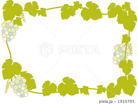 ぶどうの葉のイラスト素材 Pixta