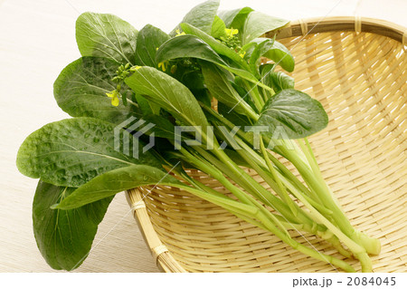 中国菜心 チュウゴクサイシン 食べ物 野菜の写真素材 Pixta