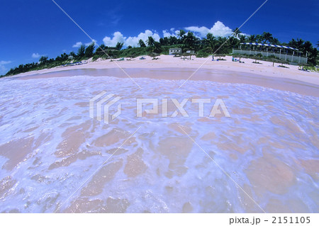 ピンクサンドビーチ 砂浜 バハマ パラソルの写真素材