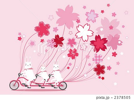 うさぎ サイクリング 親子