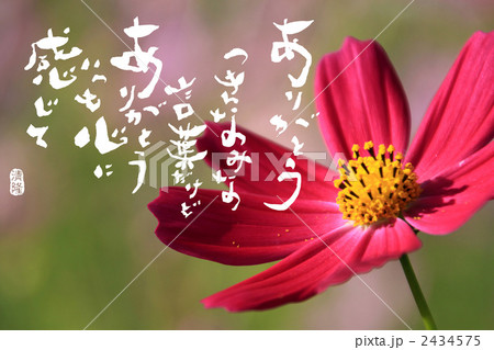 言葉 ありがとう 感謝 詩のイラスト素材