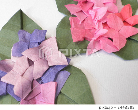 折り紙 紙細工 あじさい クラフトの写真素材