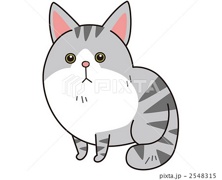 猫 ノルウェージャンフォレストキャット のイラスト素材
