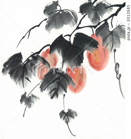 カラスウリ　水彩画　原画 カラスウリ 水彩画 原画