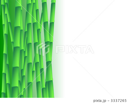 竹 グラフィック 竹やぶ 竹藪のイラスト素材