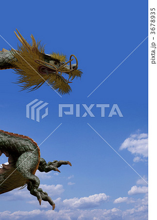 飛龍のイラスト素材 - PIXTA