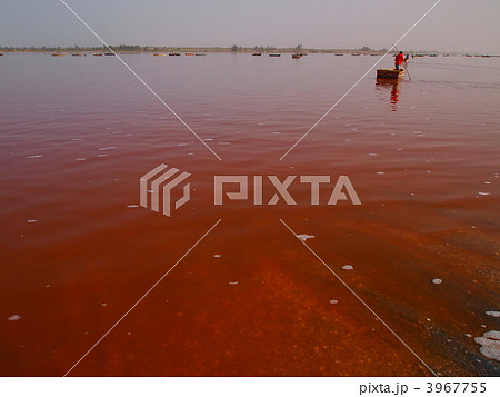ラック ローズ レトバ湖 ラックローズ セネガルの写真素材