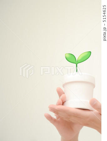 若葉 植木鉢 両手 手の写真素材
