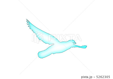 鳥 飛んでいる 水色 白バックのイラスト素材