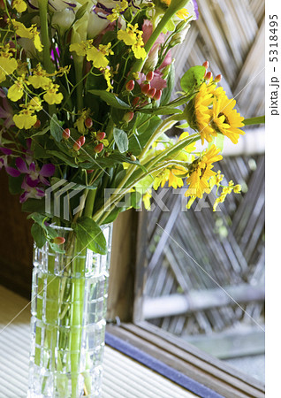 デンファレ 花 花瓶の写真素材