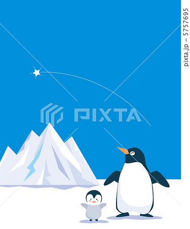 ペンギンの赤ちゃんの写真素材 Pixta