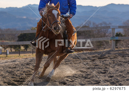 乗馬 馬 躍動感 年賀状の写真素材 乗馬 馬 躍動感 年賀状の写真素材