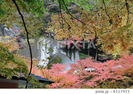 蓬莱トンネル 蓬莱山 紅葉 佐野市の写真素材