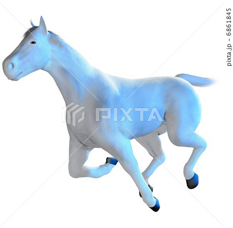 白馬 動物 馬 縁起のイラスト素材
