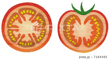 トマト断面 輪切りのイラスト素材 Pixta