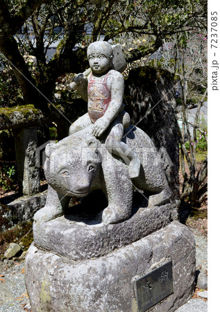 金太郎像の写真素材 - PIXTA
