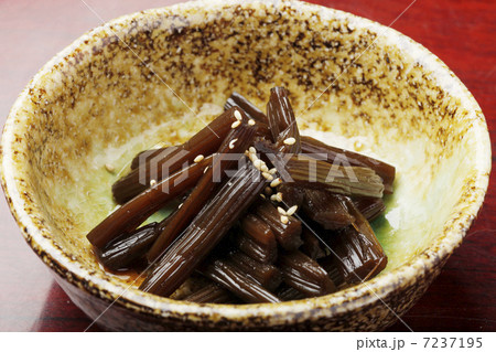 伽羅蕗の写真素材