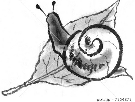 カタツムリ 墨絵 イラスト 動物の写真素材