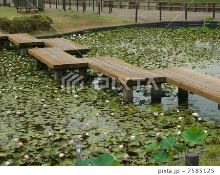 八つ橋の写真素材