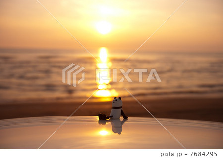 パンダ 置物 砂浜 夕日の写真素材