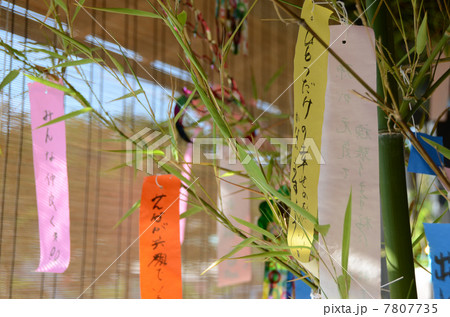 七夕 七夕飾り すだれ 竹の写真素材