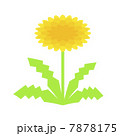 たんぽぽの根のイラスト素材 たんぽぽの根のイラスト素材