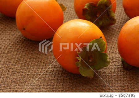 食べ物 柿 茶色 果物系の写真素材