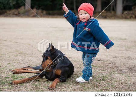 警察犬訓練士 帽子 動物の写真素材