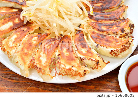 餃子 シズル感 付け合わせ ギョウザの写真素材