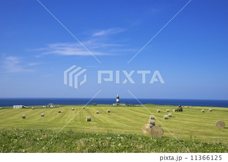 油彩画 、岬の灯台、8号、風景 西尾草峯、昭和美術会、会長