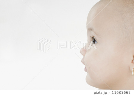 鋭い 横顔 側面 クローズアップの写真素材