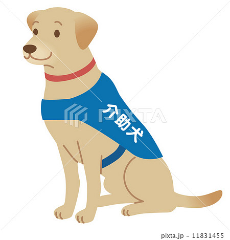 介助犬のイラスト素材