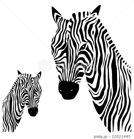 しまうま シマウマ ゼブラ 黒色のイラスト素材 - PIXTA