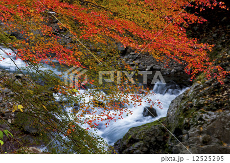 湯川渓谷の写真素材