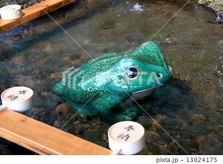 信楽焼き 信楽焼 カエル ガマガエルの写真素材 - PIXTA