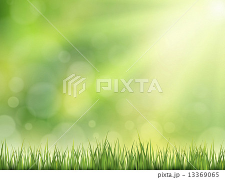 壁紙 芝 芝刈 芝生の写真素材