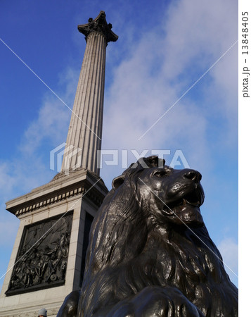 トラファルガー広場 ライオン像 Trafalgar イギリスの写真素材