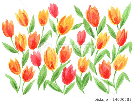 水彩 イラスト 花 元気 明るい 春 動きの写真素材