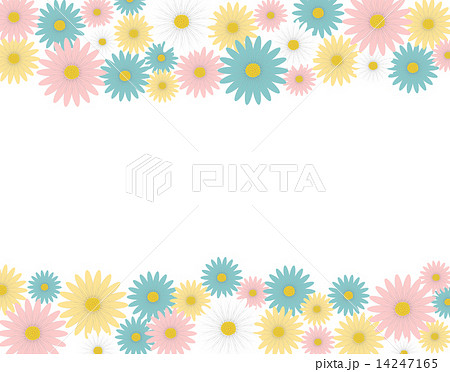 デイジー フレーム 可愛い花 白バック 背景 壁紙 花 イラスト花 コピースペース シンプルの写真素材