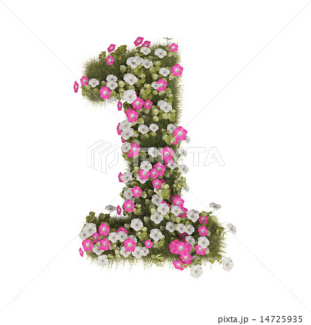 朝顔 花 数字 7のイラスト素材