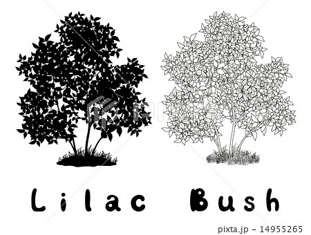 木 モノクロ 野原 シルエットのイラスト素材