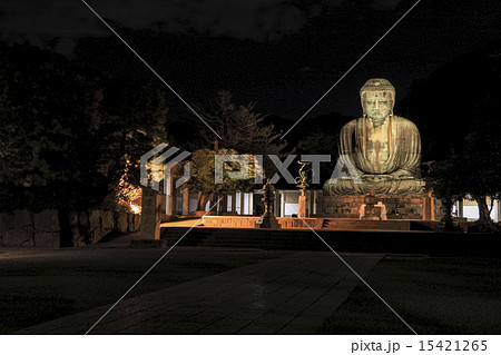 大仏 ライトアップ 鎌倉の写真素材