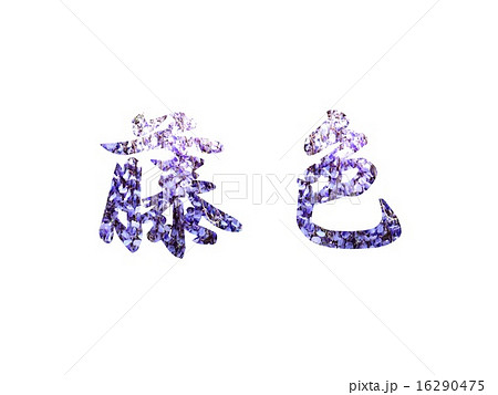 文字 藤色 漢字 薄紫色の写真素材