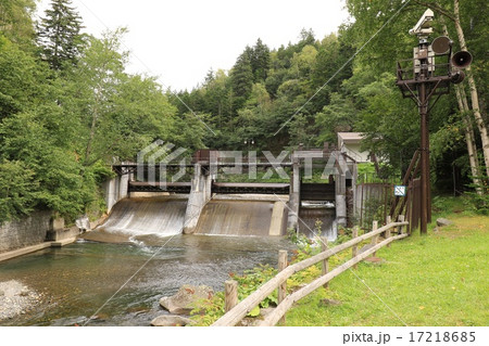 ニセイチャロマップ川の写真素材