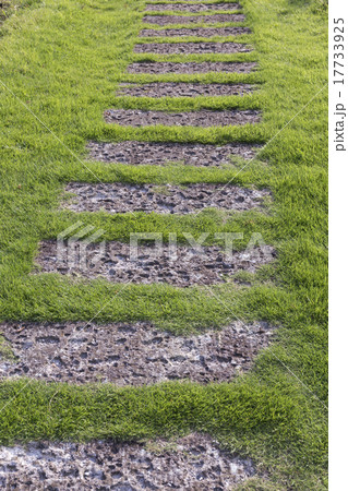飛び石 芝生 緑色 庭 石の写真素材