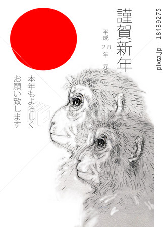 サル 横顔 さる 動物のイラスト素材