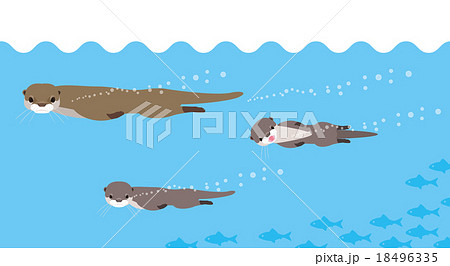 Sea Otter Illustrations Sea Otter Illustrations